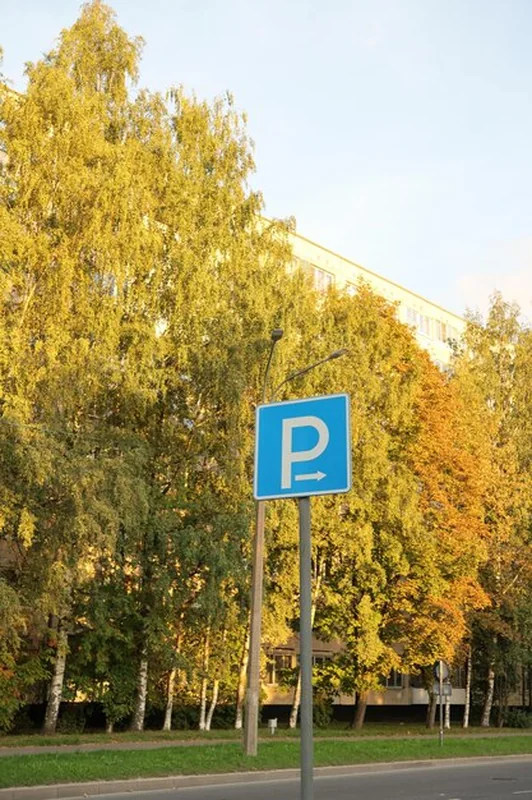 Niebieski znak parkingu na zielonym tle